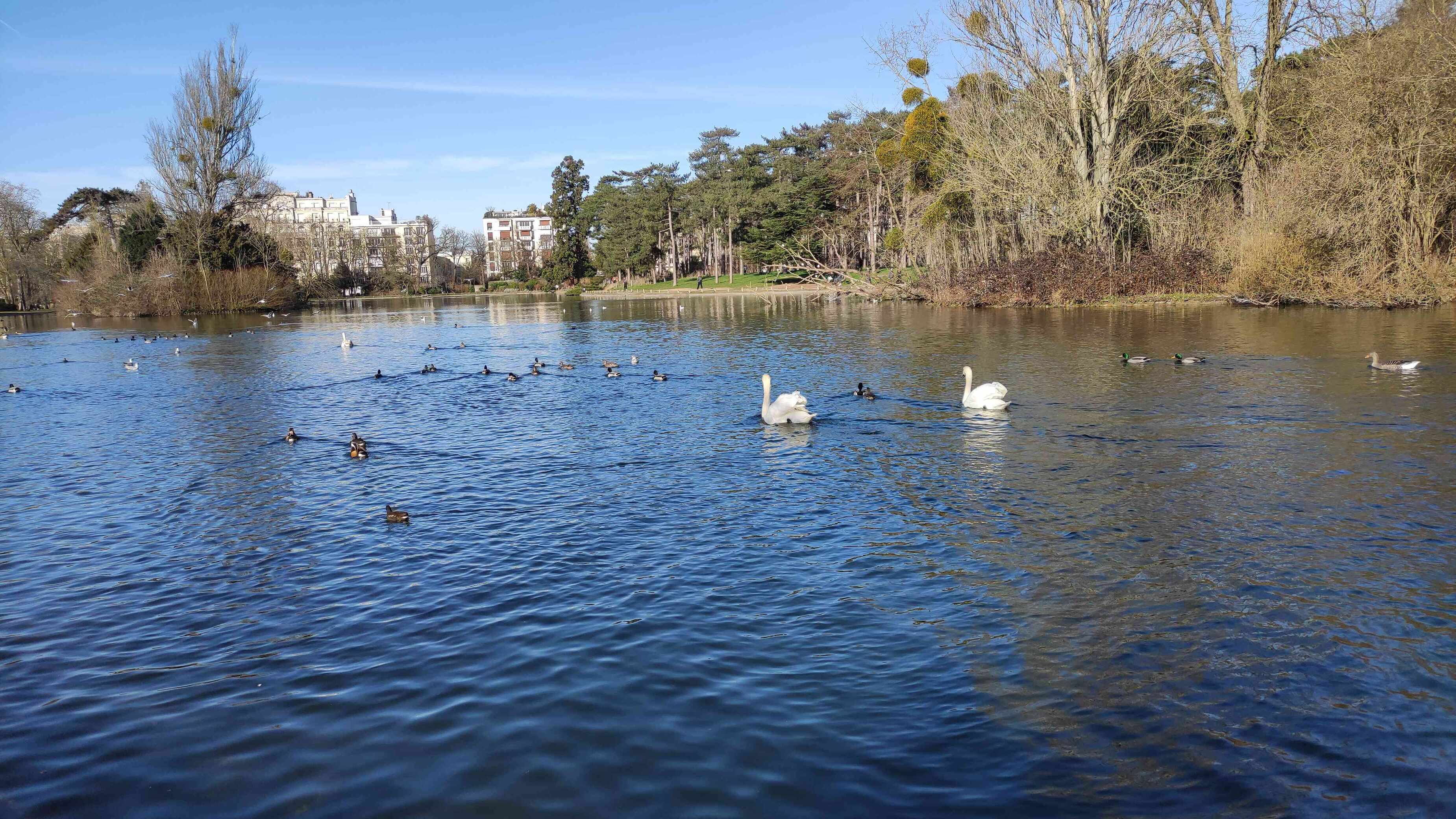 Lago Bois Boulogne