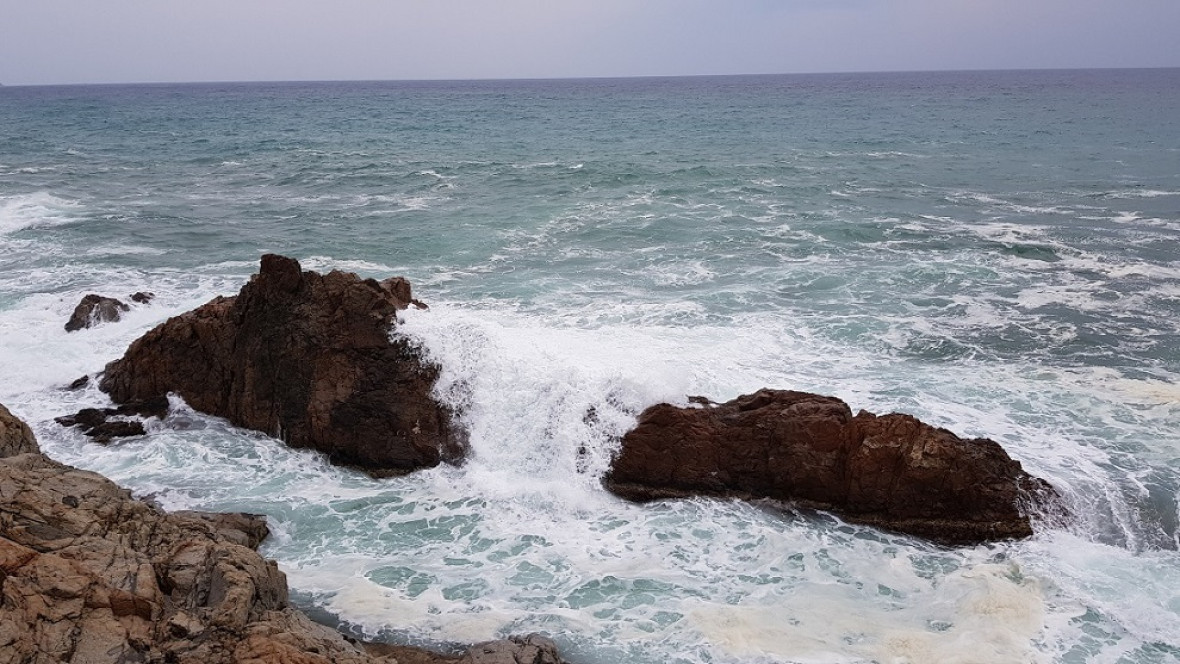CARTAS EN LA BOTELLA