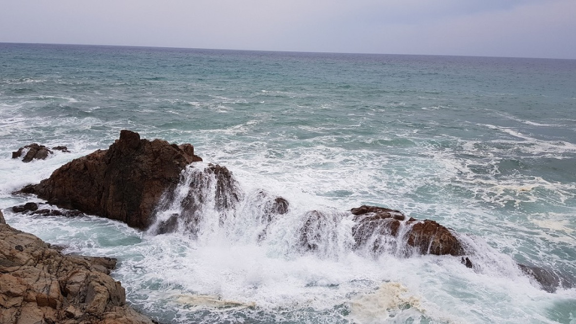 CARTAS EN LA BOTELLA