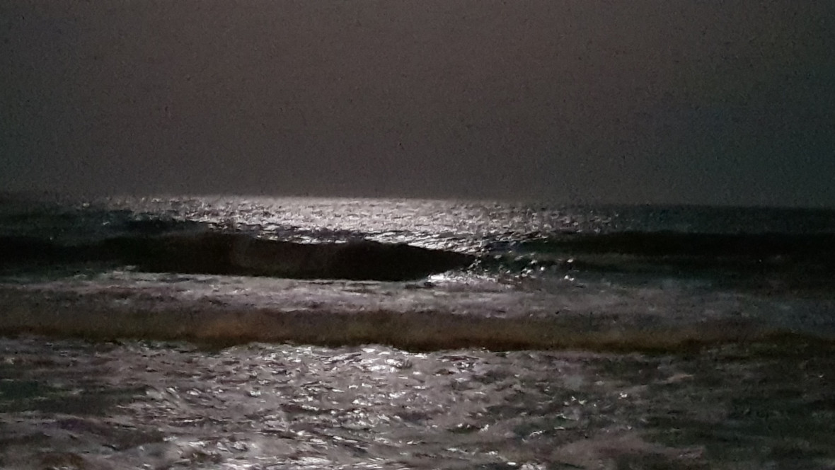 DEL DESCUBRIMIENTO DEL DIARIO DE COLÓN