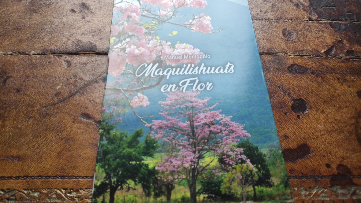 Maquilishuats en flor