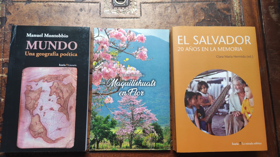 Maquilishuats en flor