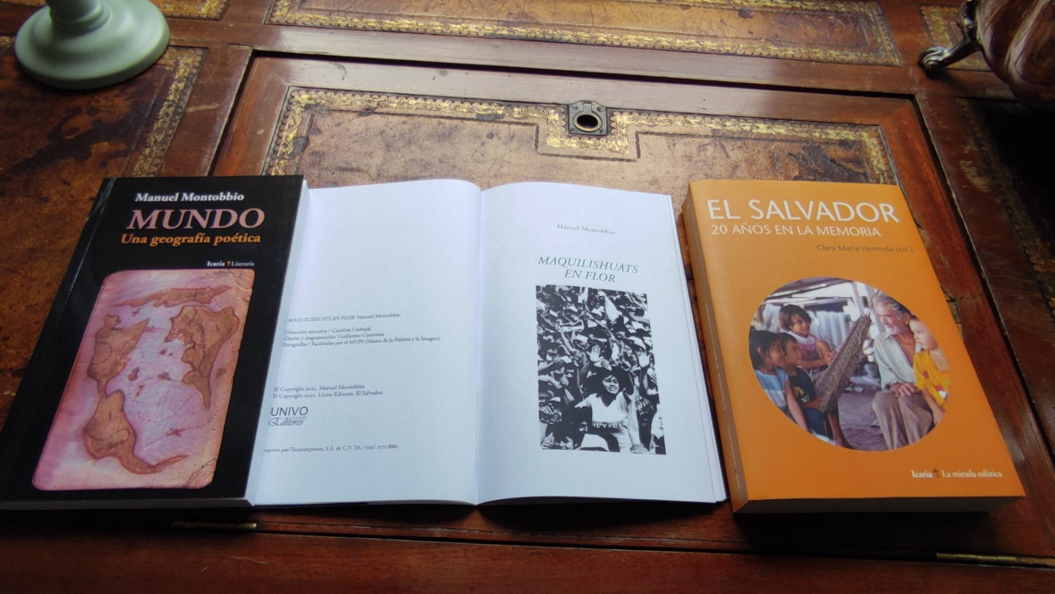 Maquilishuats en flor