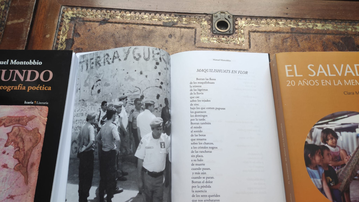 Maquilishuats en flor