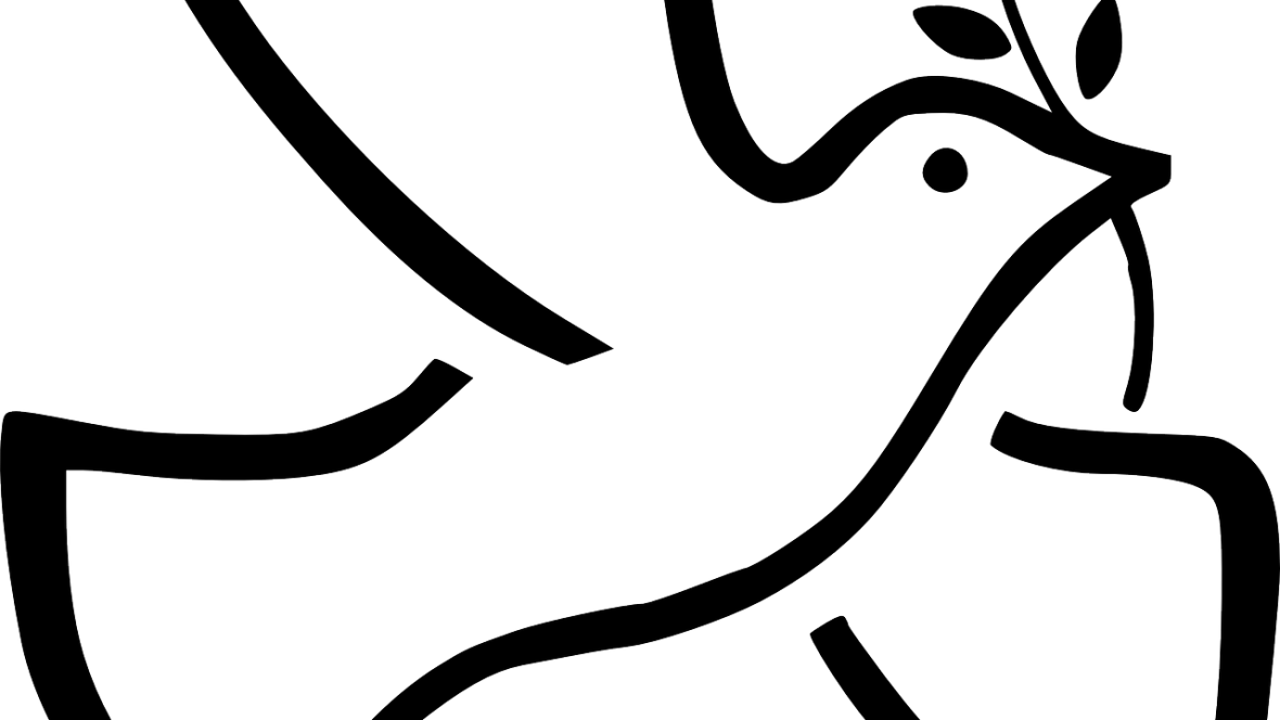 23-F: LA PALOMA BLANCA