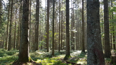 DESCONFINARNOS MENTALMENTE