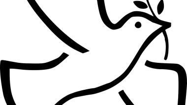 23-F: LA PALOMA BLANCA