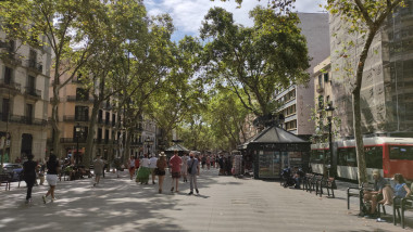 LES "RAMBLES DE LA VIDA" RAMBLEGEN PER LA VIDA